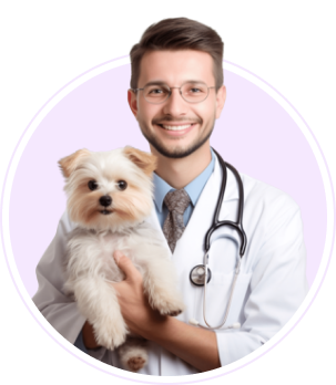 دامپزشک با حیوان خانگی